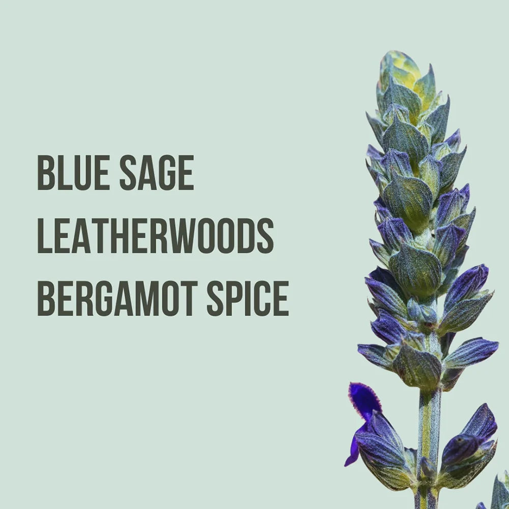 Come Find Me - Body Lotion & Mist Gift Set