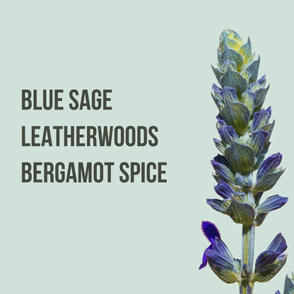 Come Find Me - Body Lotion & Mist Gift Set